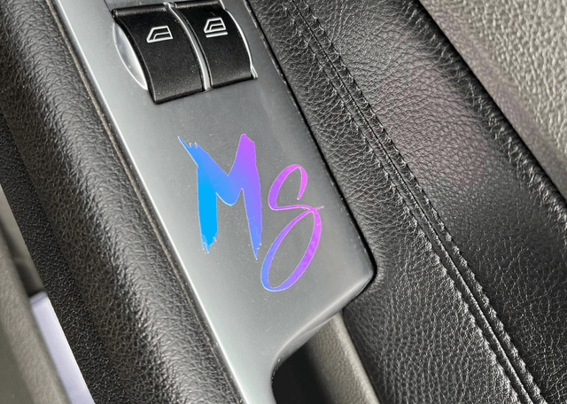Petit logo MS