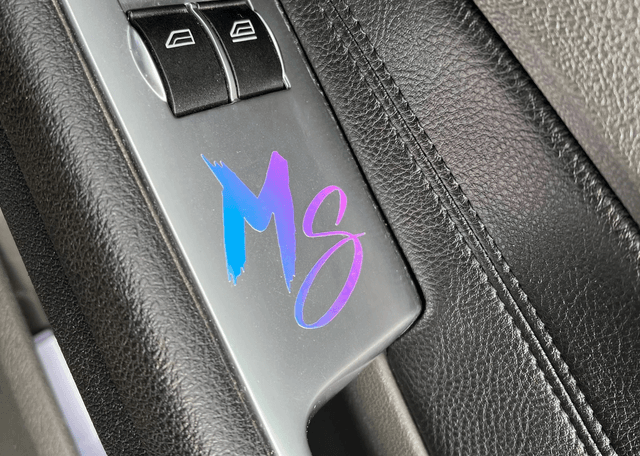 Petit logo MS
